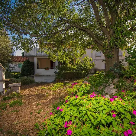 Apartamento Dobrinj 1 *